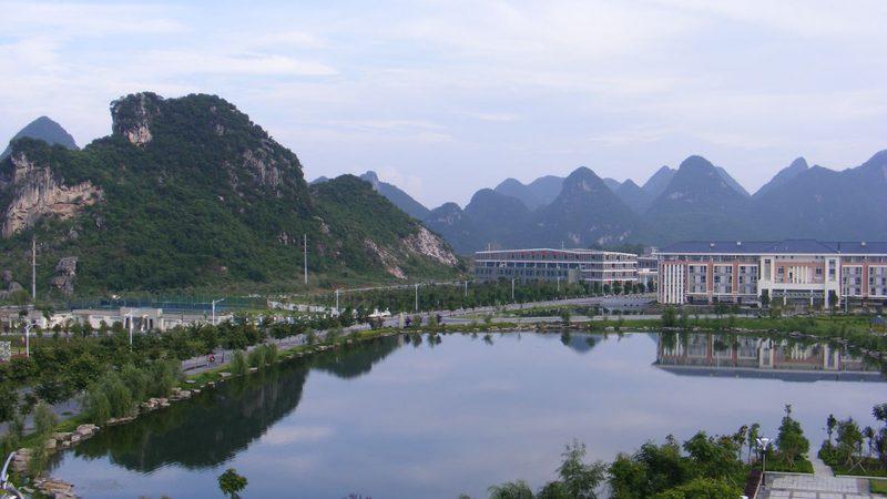 电子元器件加工工艺流程全解析：揭秘从设计到成品的奥秘**
