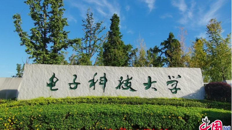 DIP插件加工：揭秘其加工工艺与选择要点